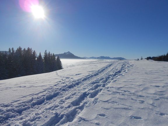 Impressionen Schmid Hof